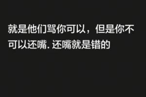 韦世豪:就是他们骂你可以,但是你不可以还嘴,还嘴就是错的