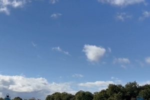 本赛季各项赛事仅1次出场,里沙利松社媒晒训练场上照片